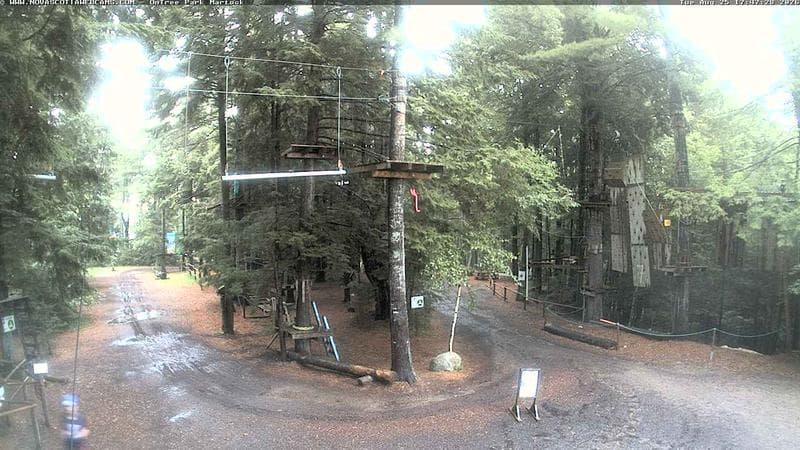 Ontree Park