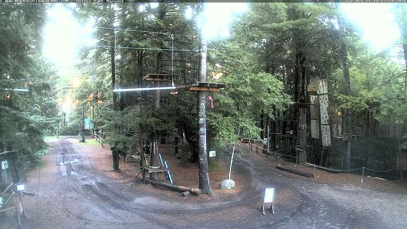 Ontree Park