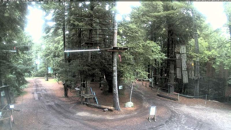 Ontree Park