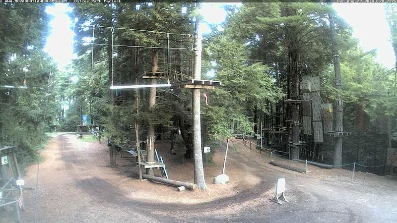 Ontree Park