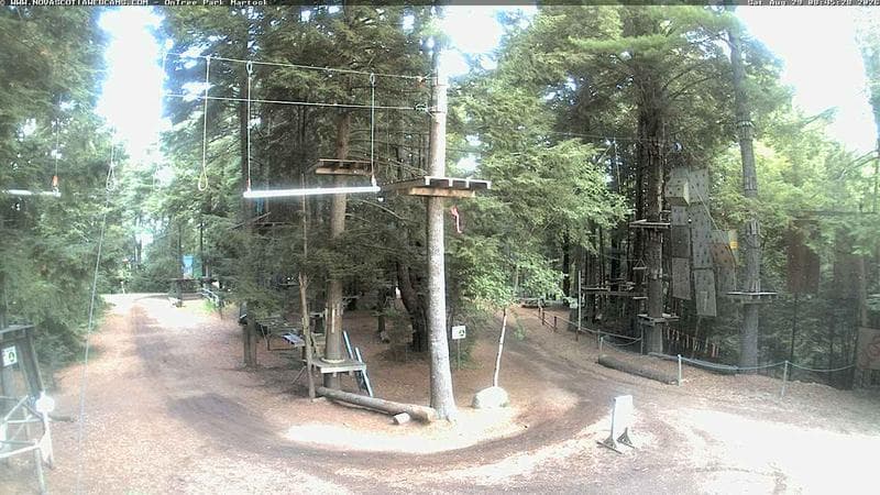 Ontree Park
