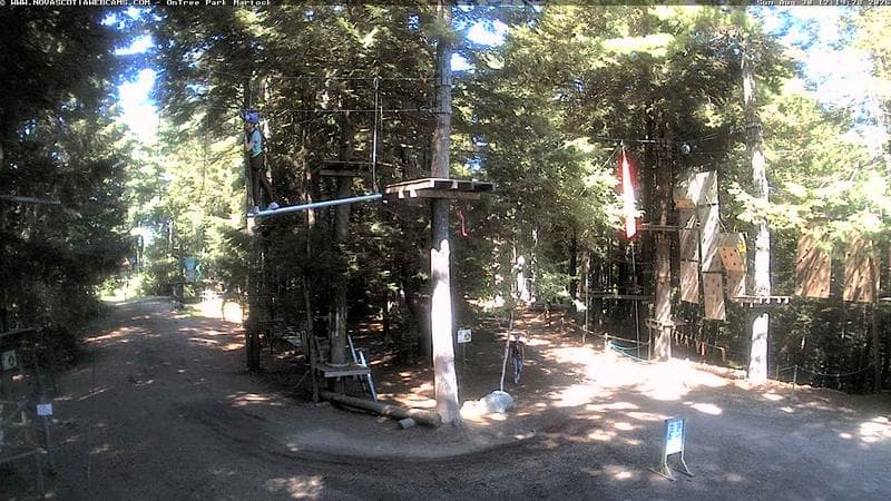 Ontree Park