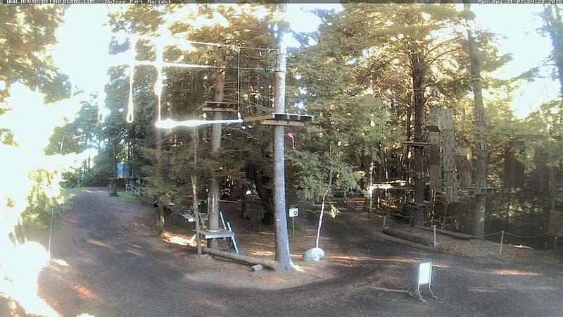 Ontree Park