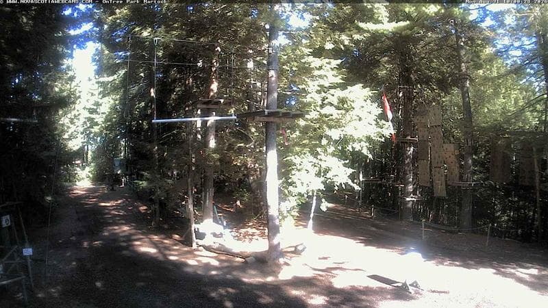 Ontree Park