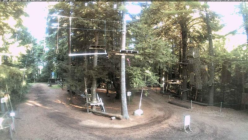 Ontree Park