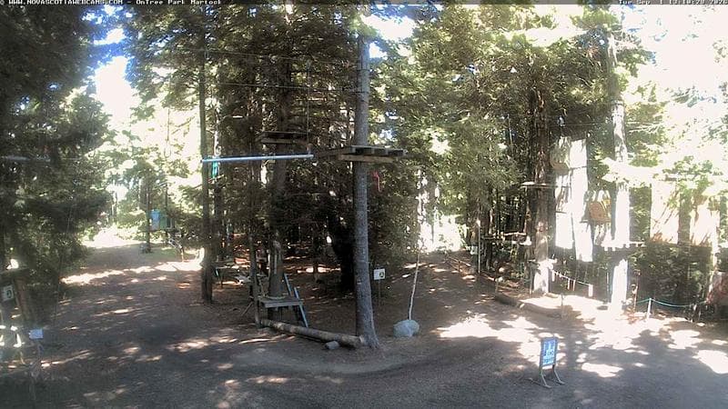 Ontree Park