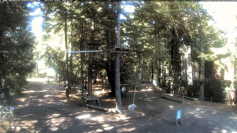 Ontree Park
