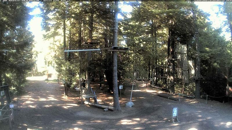 Ontree Park