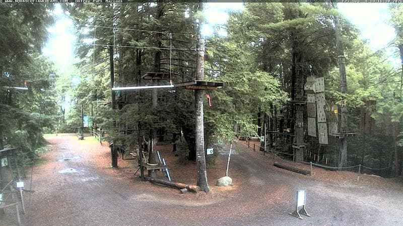 Ontree Park