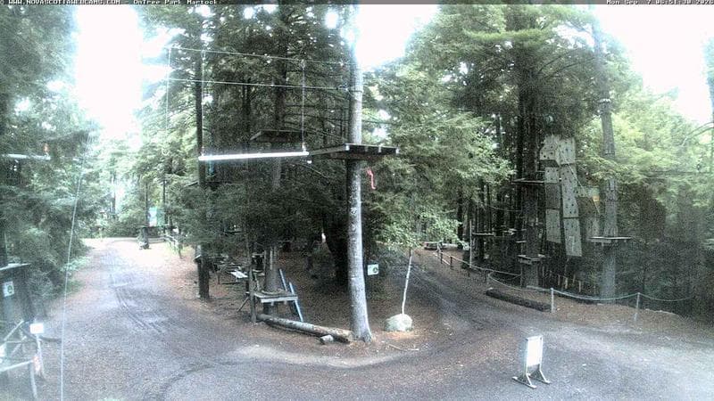 Ontree Park