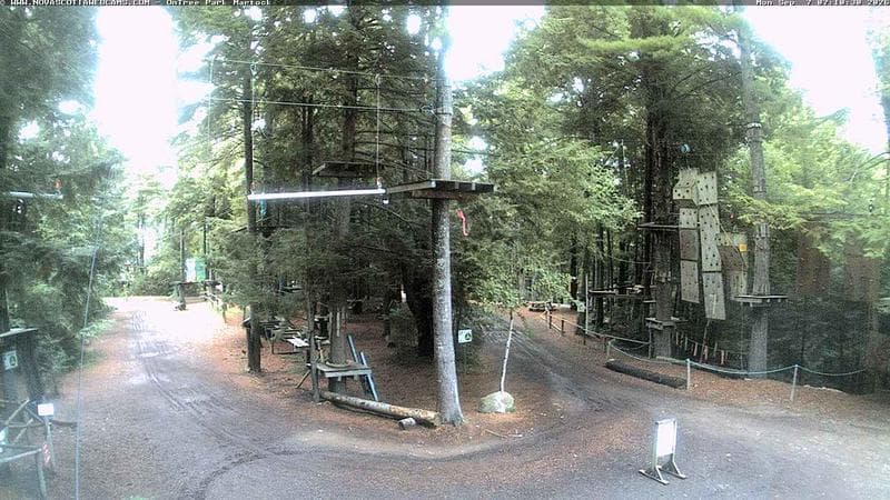 Ontree Park