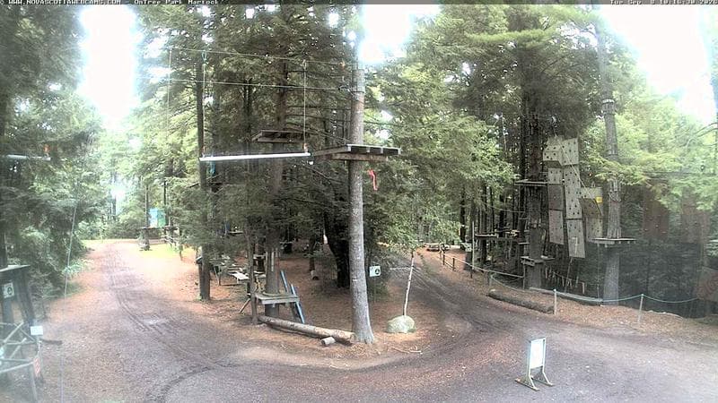 Ontree Park