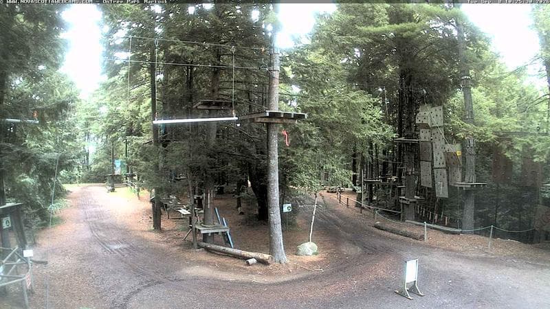 Ontree Park