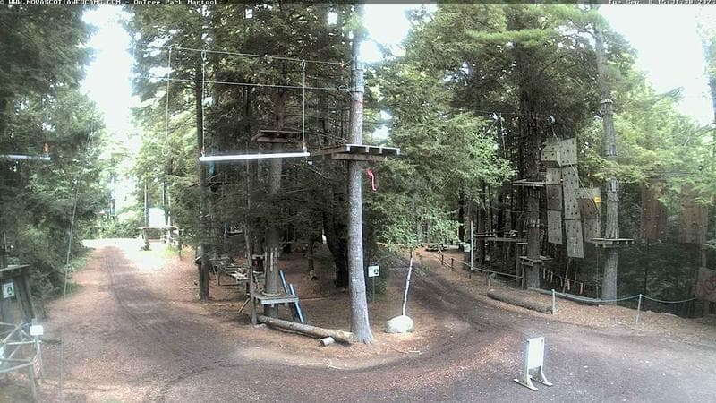 Ontree Park