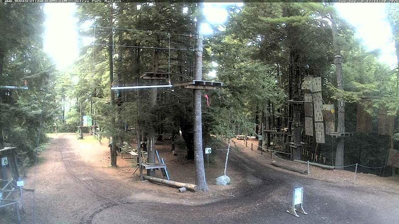 Ontree Park