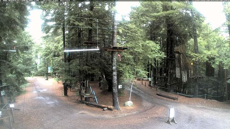 Ontree Park