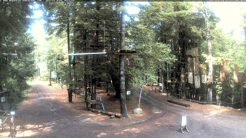 Ontree Park