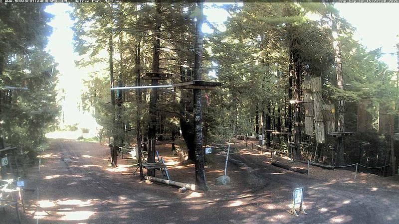 Ontree Park