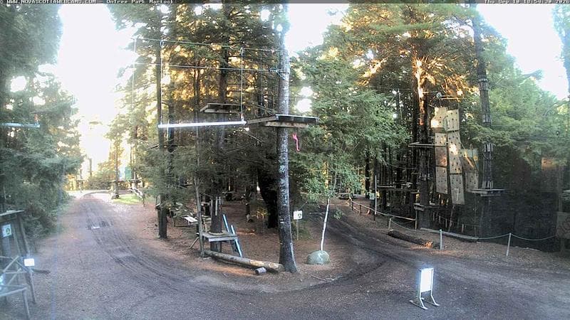 Ontree Park