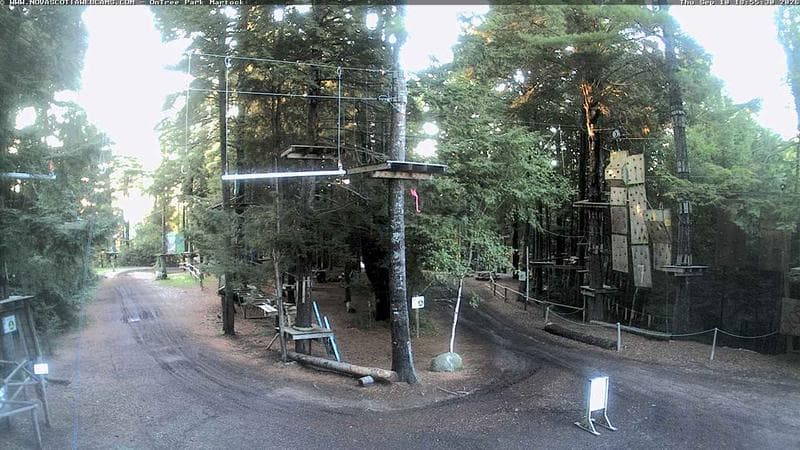 Ontree Park
