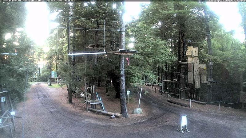 Ontree Park
