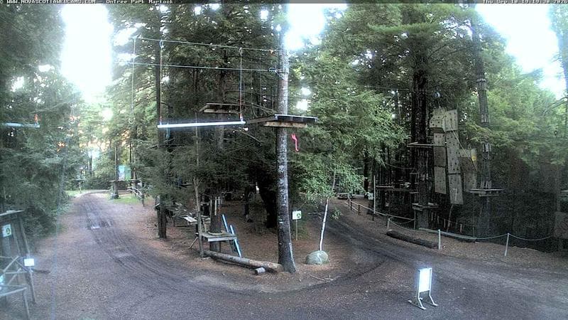 Ontree Park