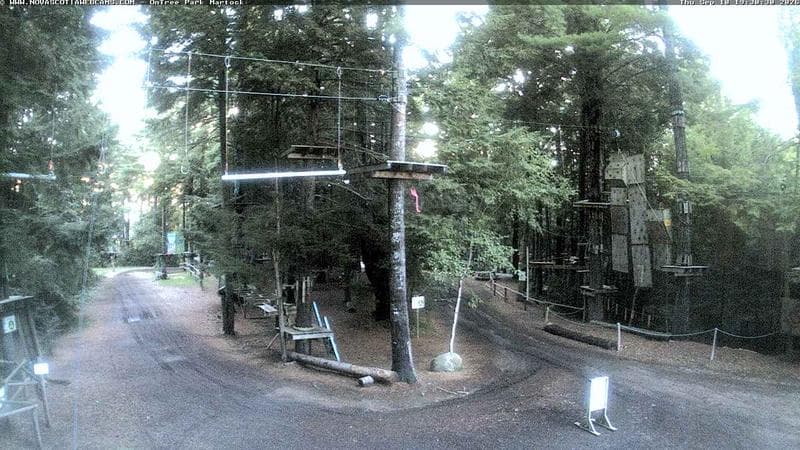 Ontree Park