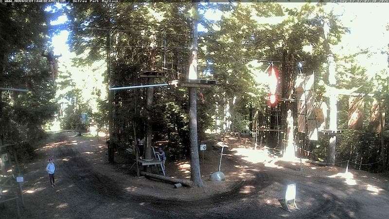 Ontree Park