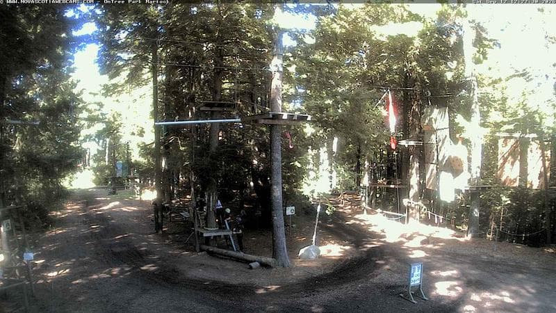 Ontree Park