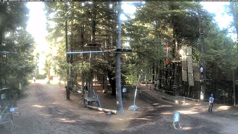 Ontree Park