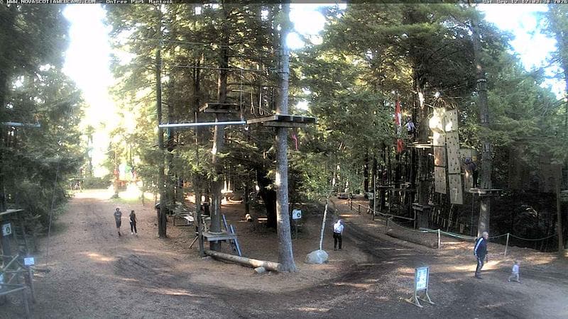 Ontree Park