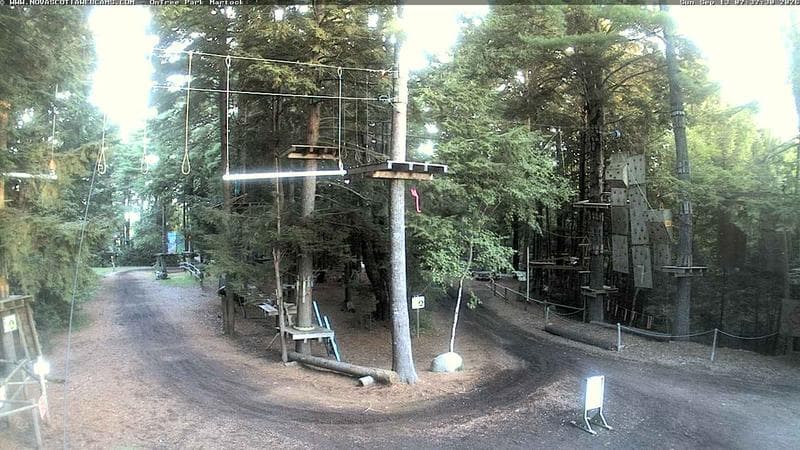Ontree Park