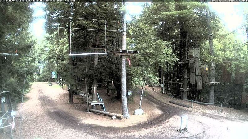 Ontree Park