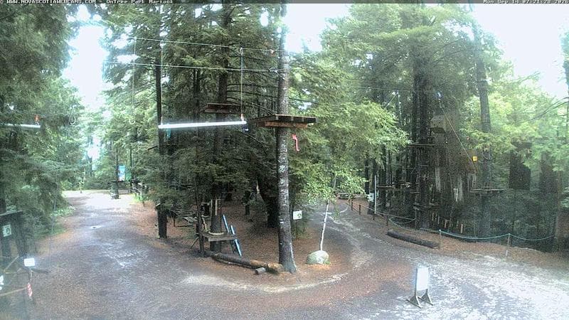 Ontree Park