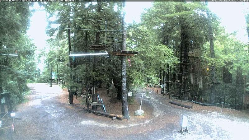 Ontree Park
