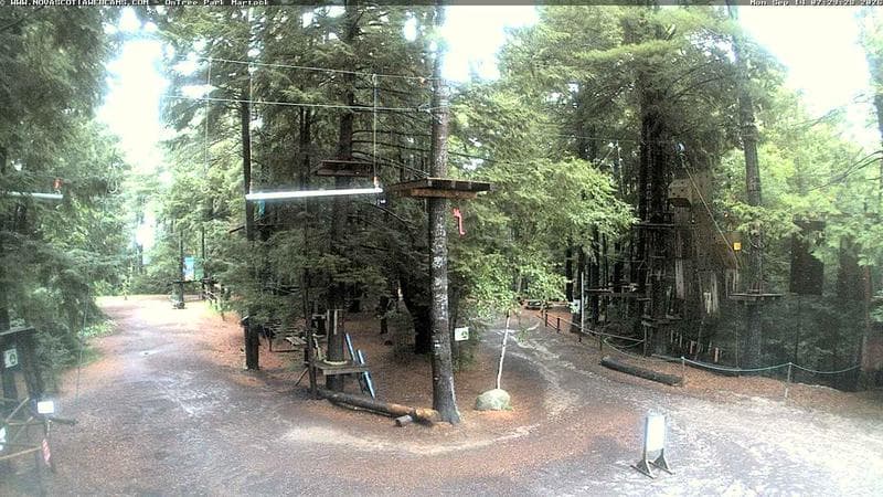 Ontree Park