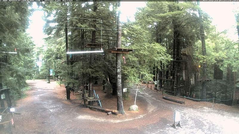 Ontree Park
