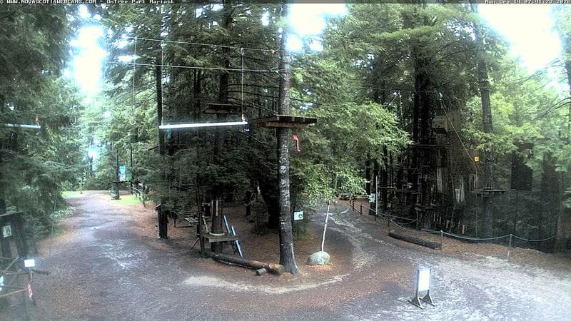 Ontree Park