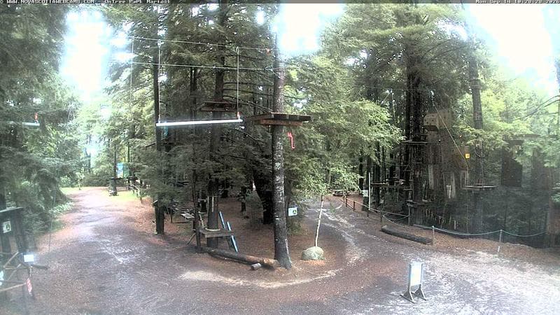 Ontree Park