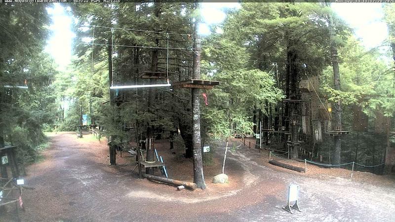 Ontree Park