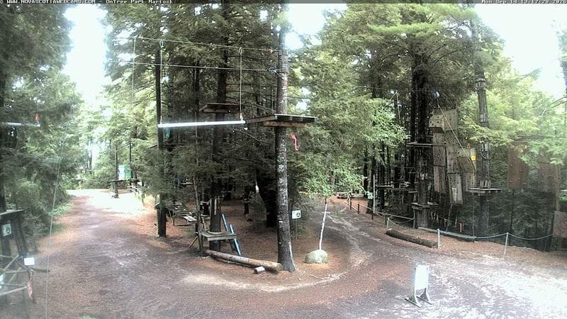 Ontree Park