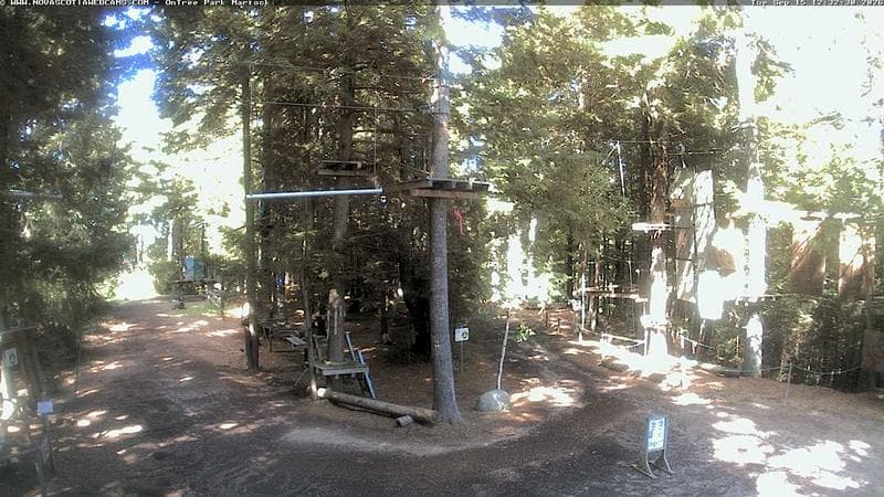 Ontree Park