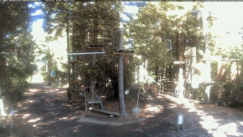 Ontree Park