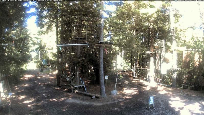 Ontree Park