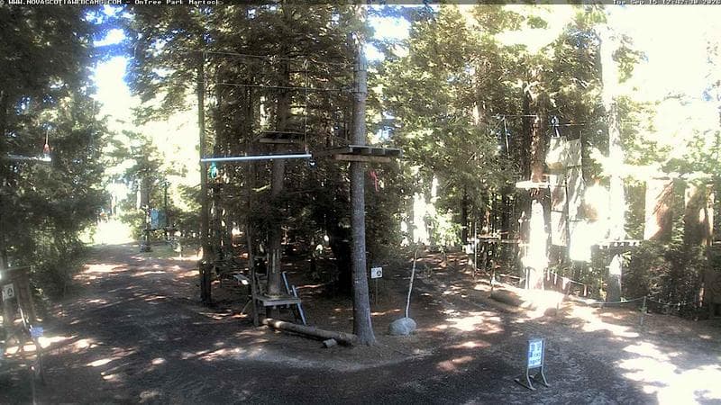 Ontree Park
