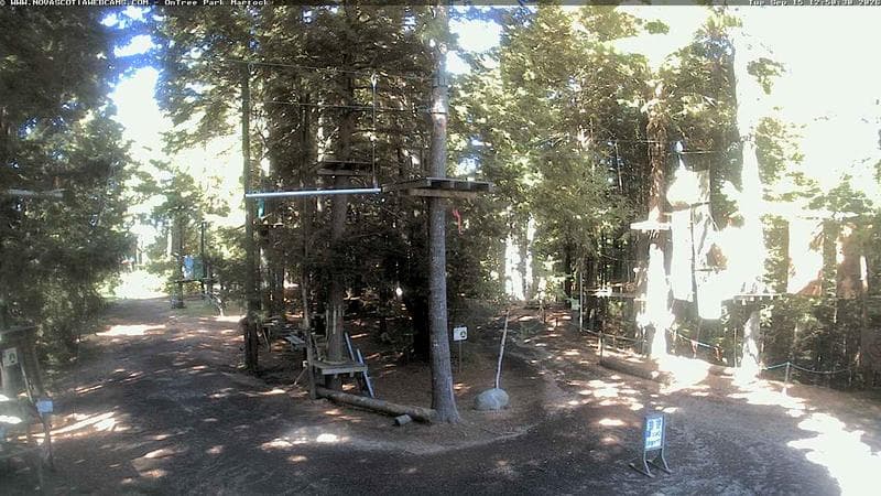 Ontree Park