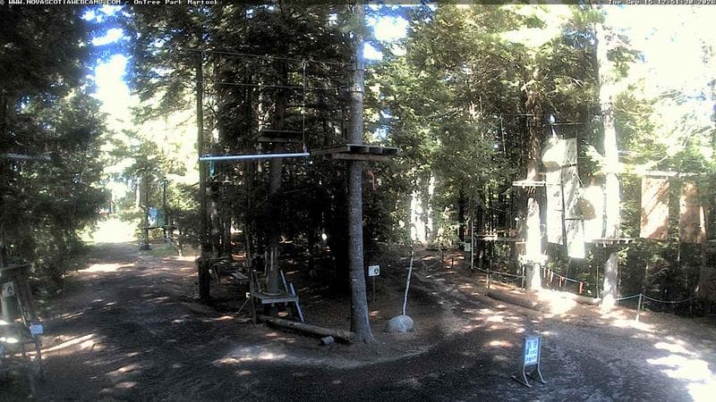 Ontree Park