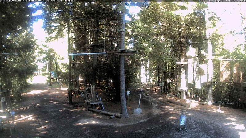 Ontree Park