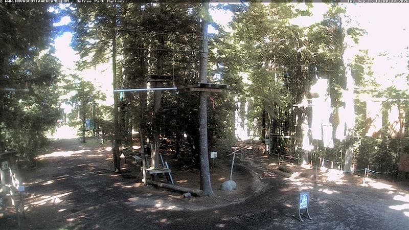 Ontree Park