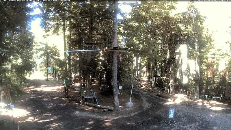 Ontree Park